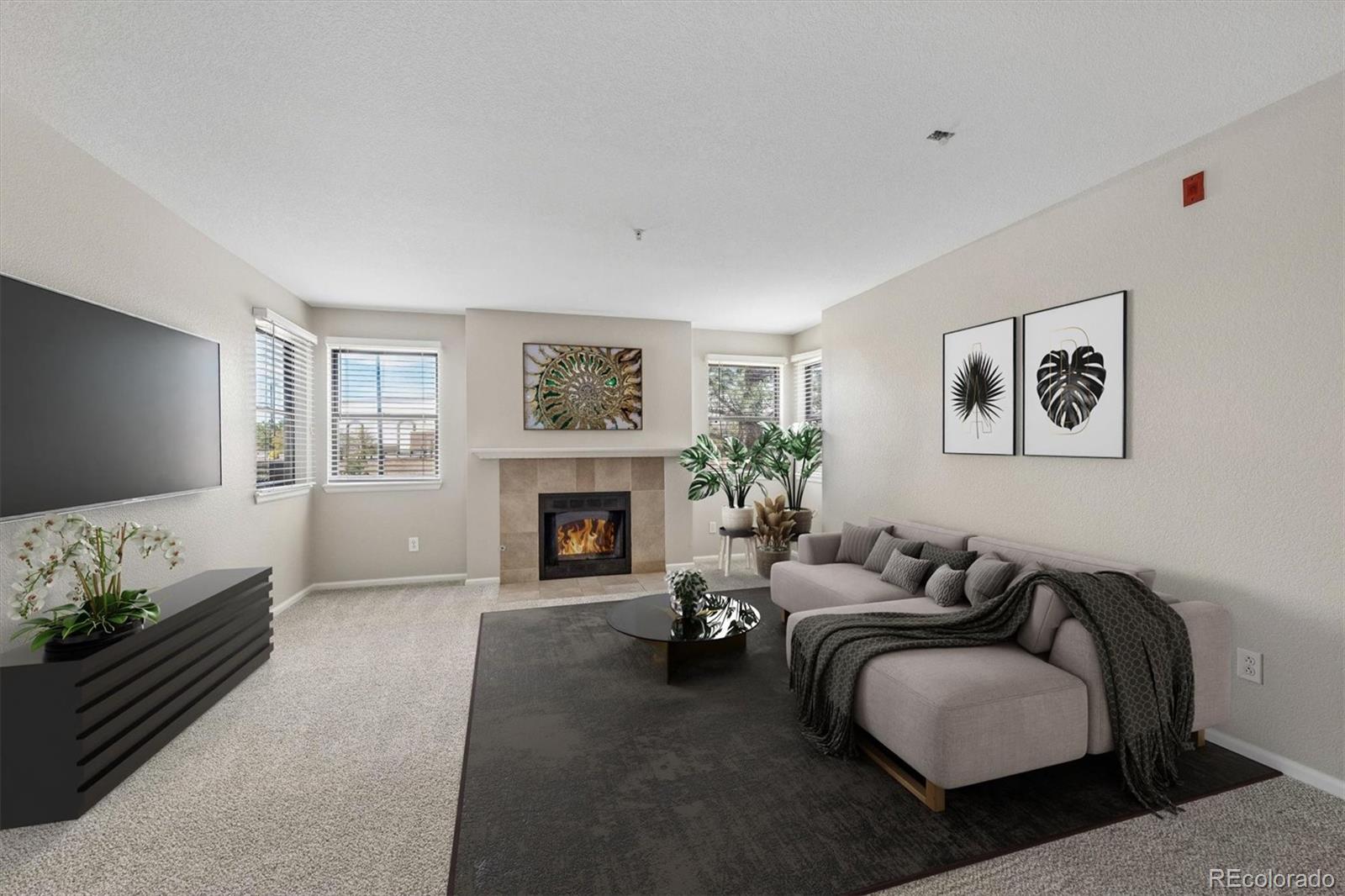 MLS Image #0 for 8740  corona street 203,thornton, Colorado