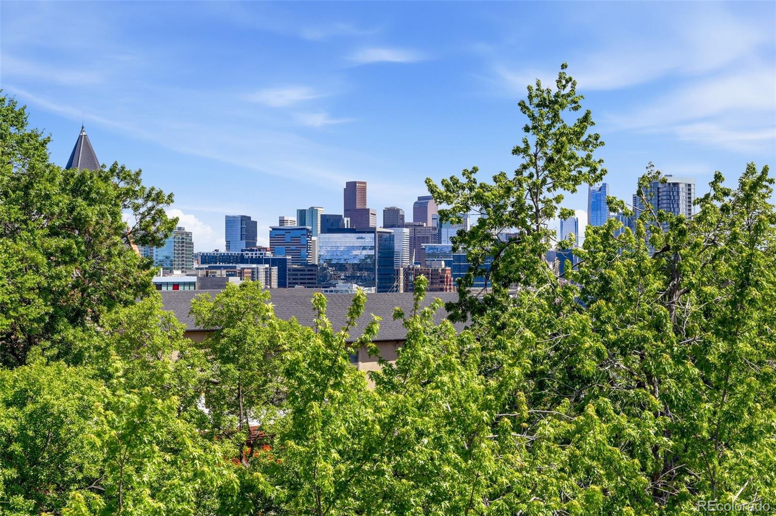 MLS Image #40 for 3023  wyandot street,denver, Colorado