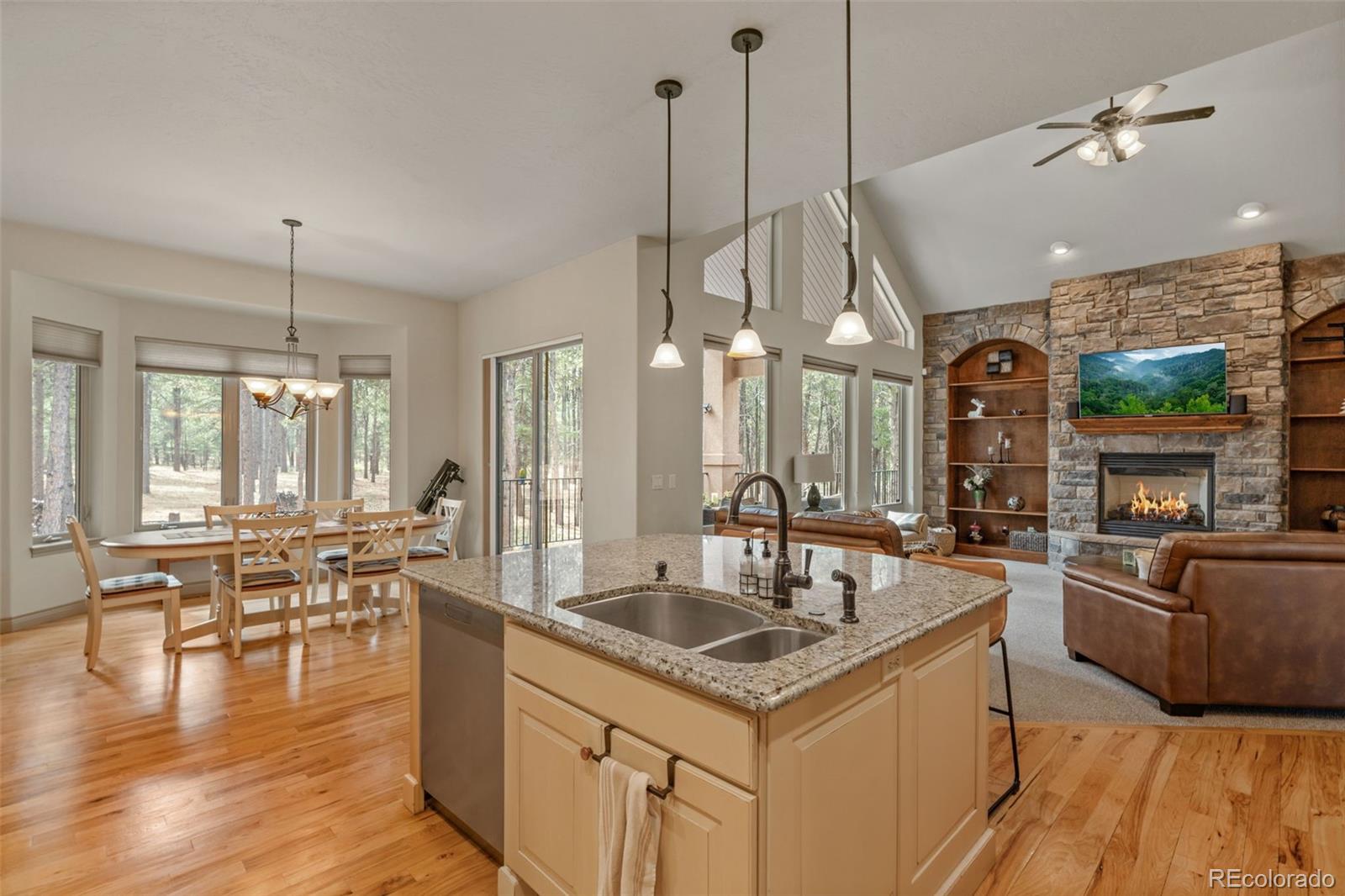 MLS Image #11 for 15424  pole pine point,colorado springs, Colorado