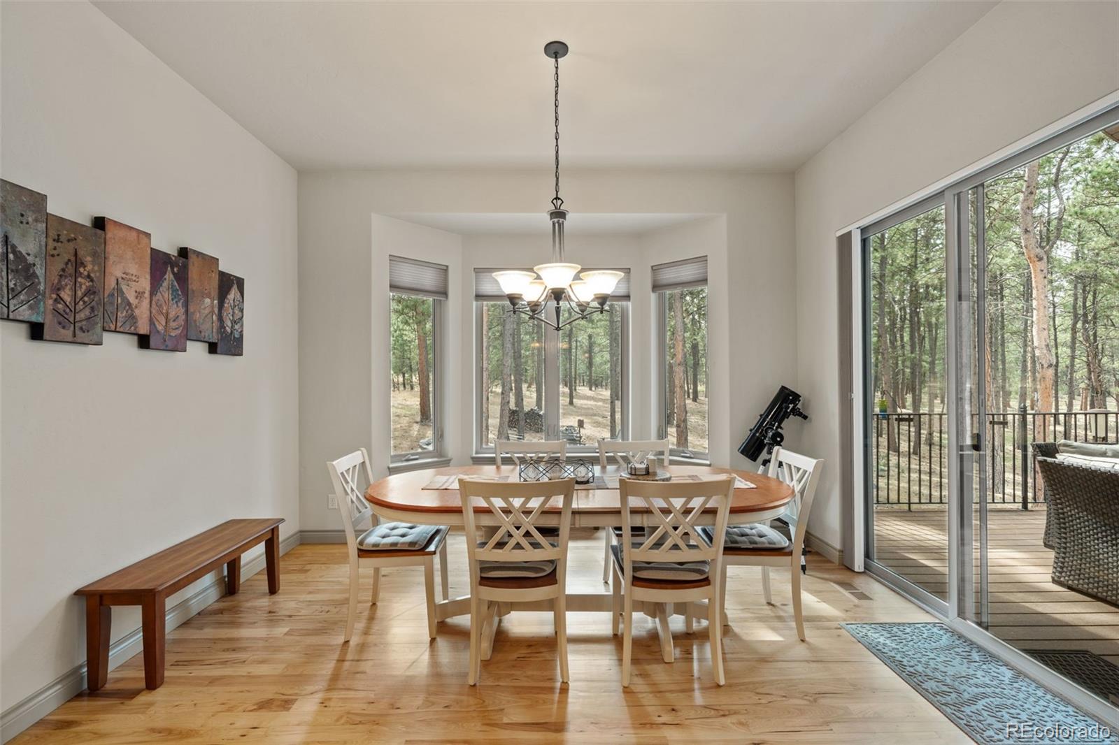 MLS Image #13 for 15424  pole pine point,colorado springs, Colorado