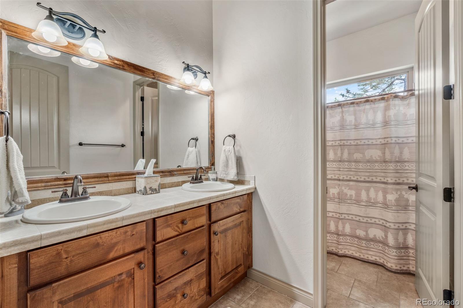 MLS Image #21 for 15424  pole pine point,colorado springs, Colorado