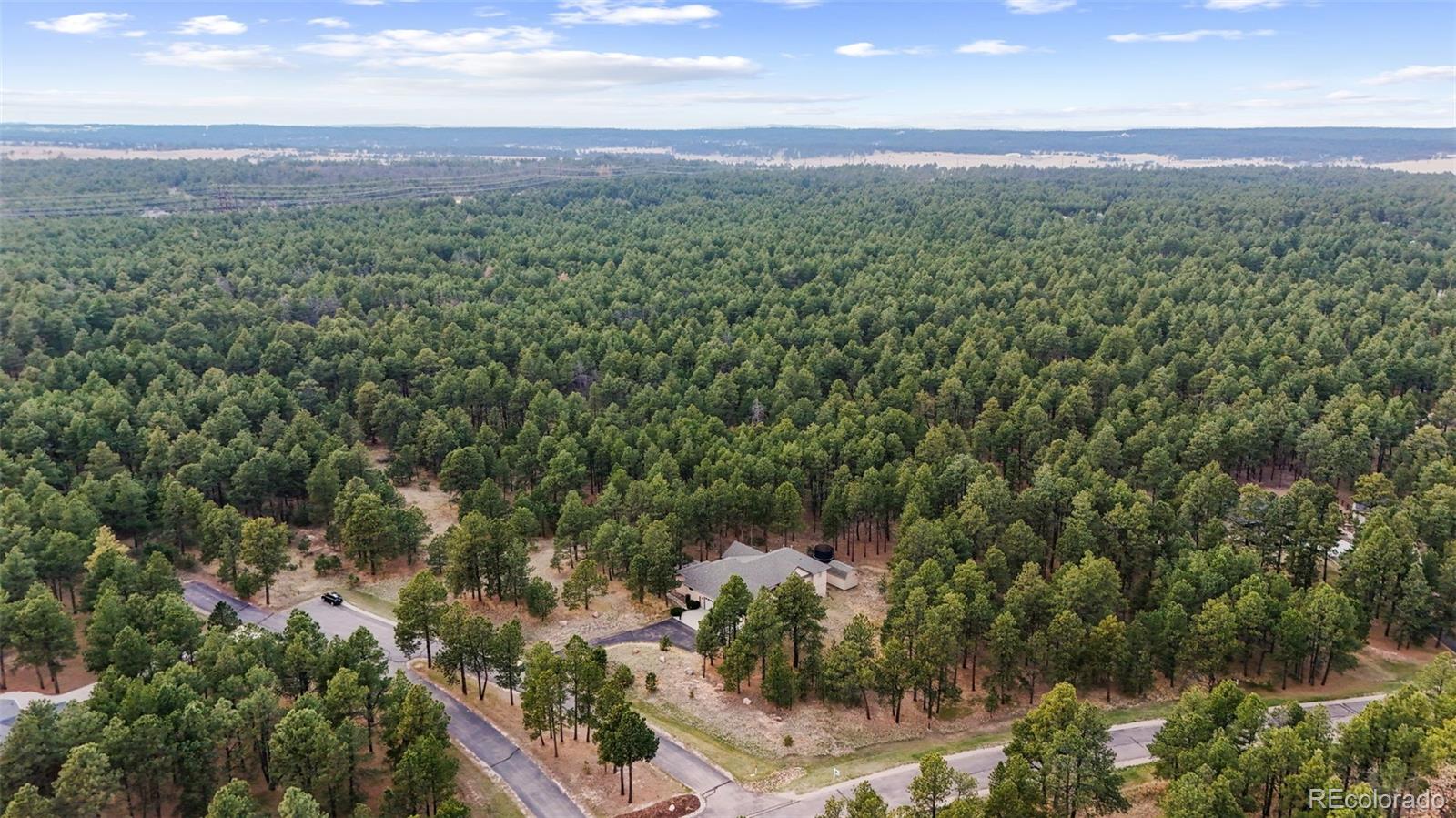 MLS Image #49 for 15424  pole pine point,colorado springs, Colorado