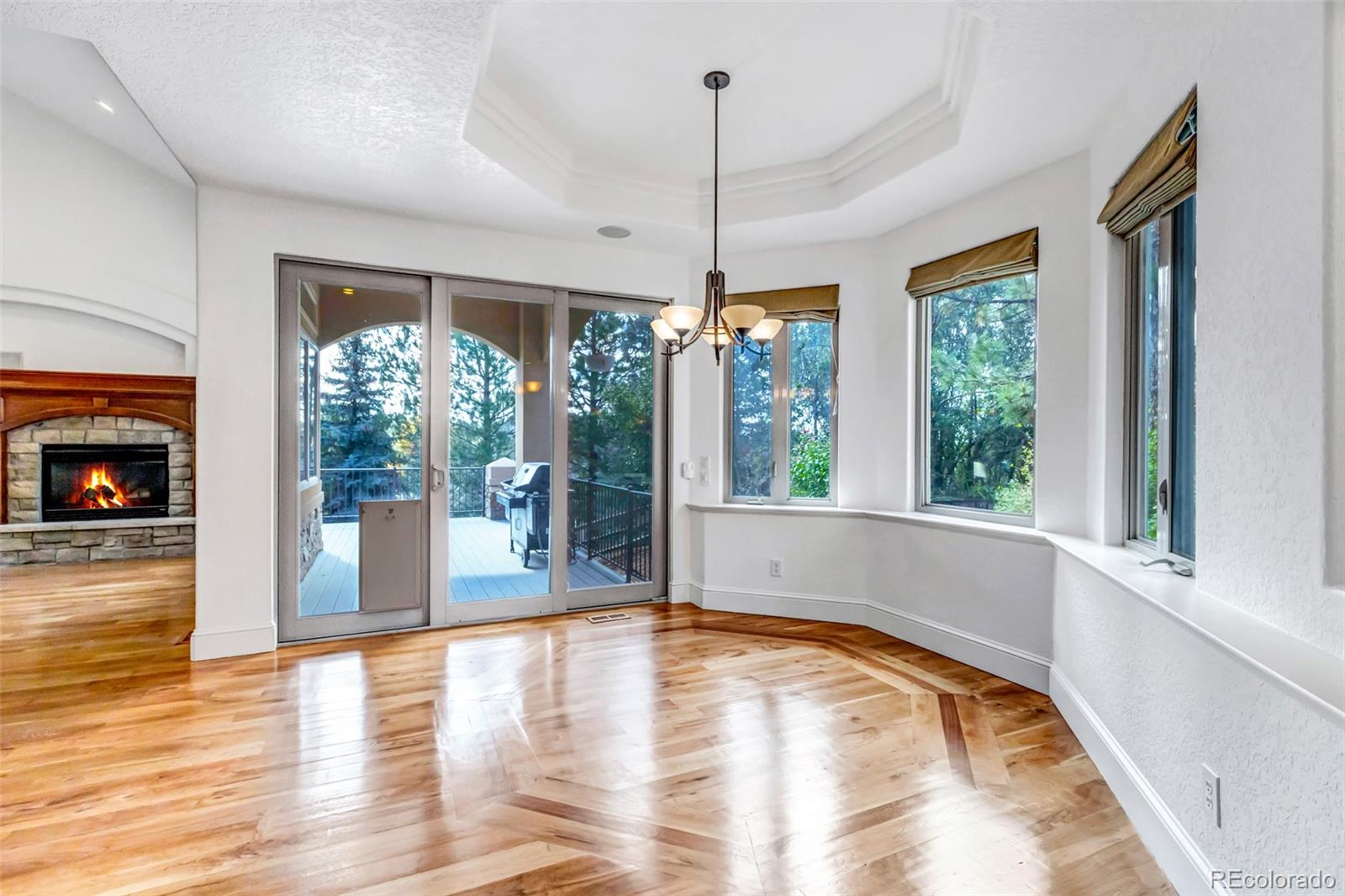 MLS Image #11 for 9132  scenic pine drive,parker, Colorado