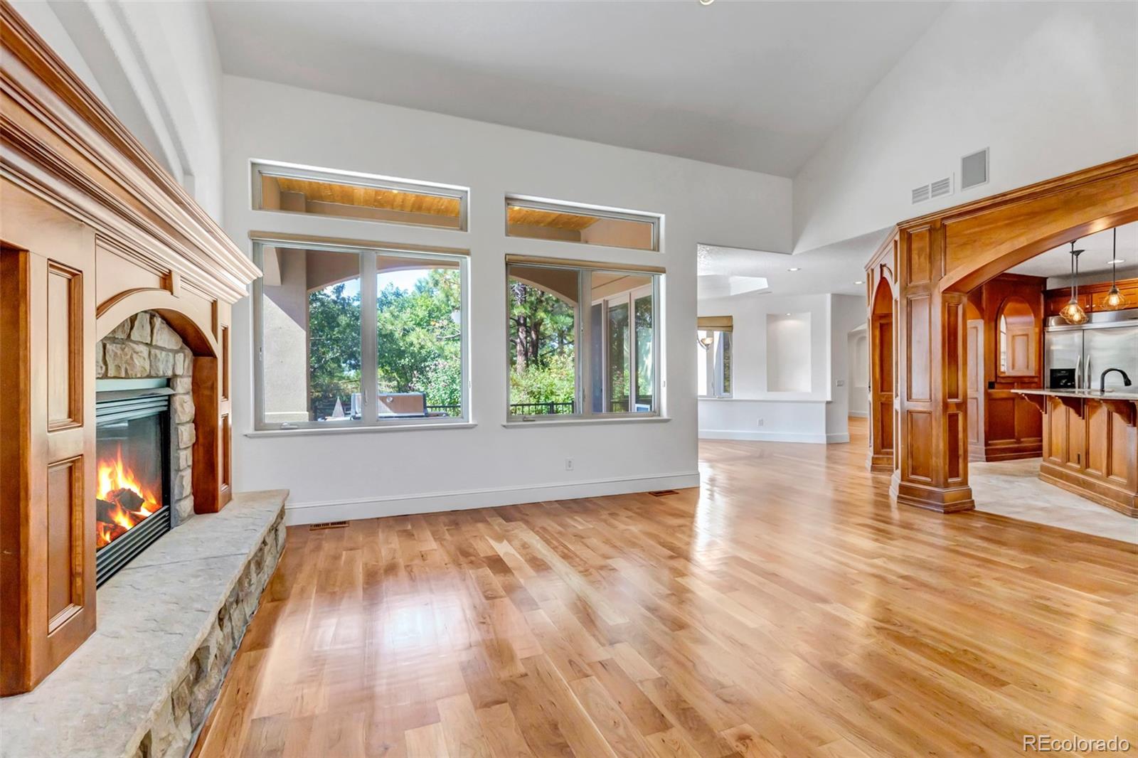 MLS Image #14 for 9132  scenic pine drive,parker, Colorado