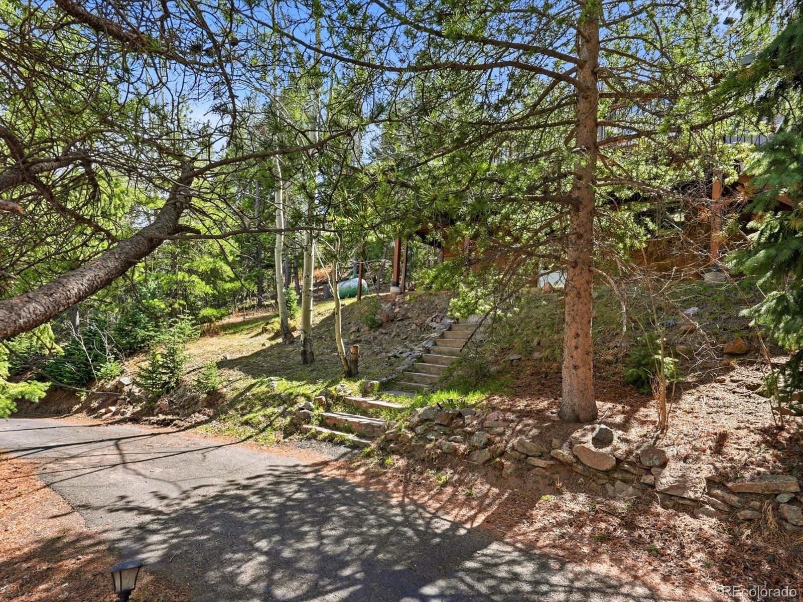 MLS Image #42 for 8829  black mountain drive,conifer, Colorado
