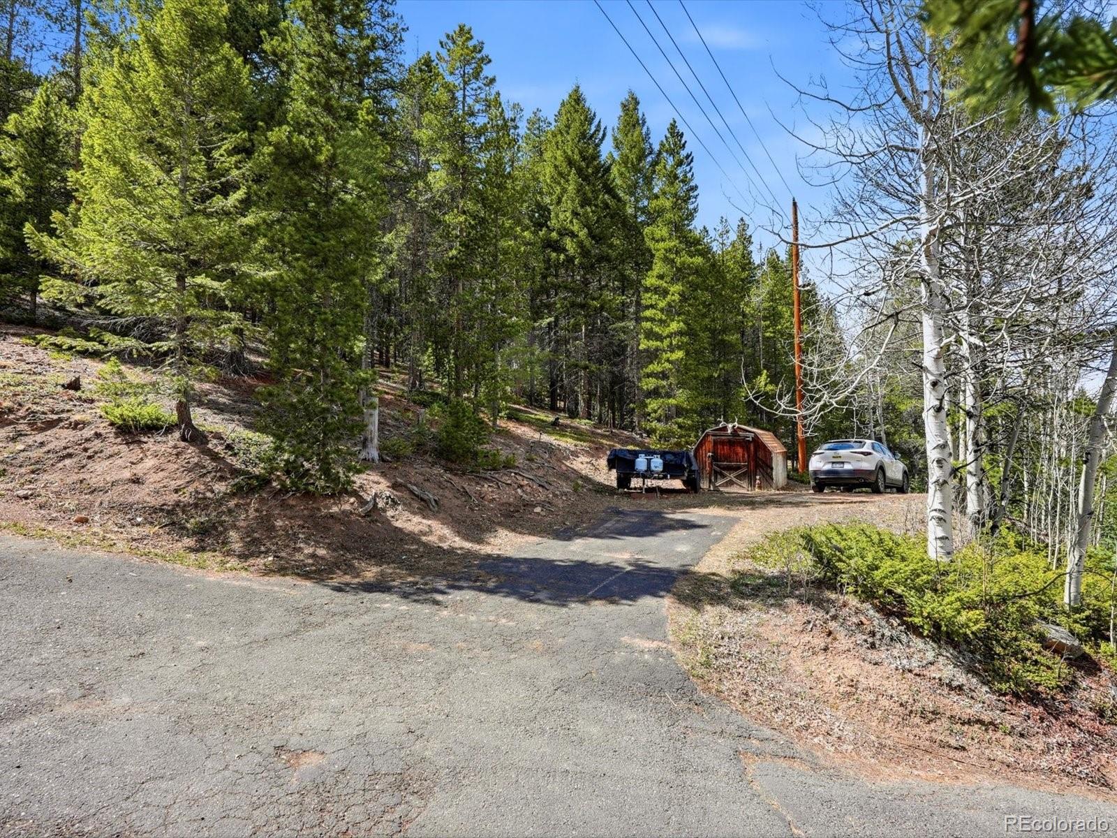 MLS Image #43 for 8829  black mountain drive,conifer, Colorado