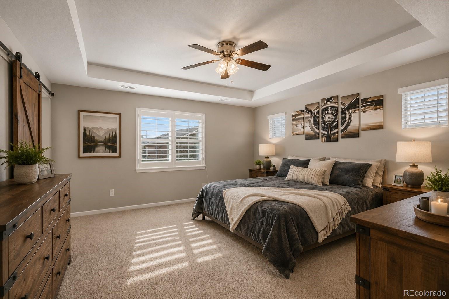 MLS Image #13 for 899  mcmurdo circle,castle rock, Colorado