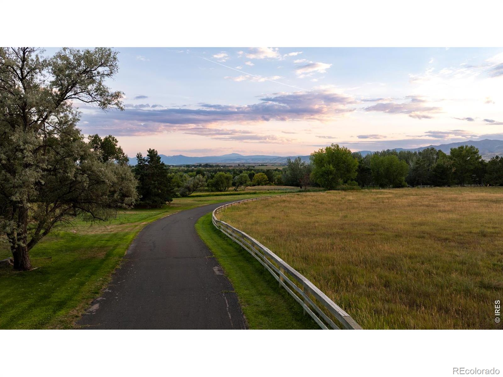 MLS Image #5 for 7007  rozena drive,longmont, Colorado