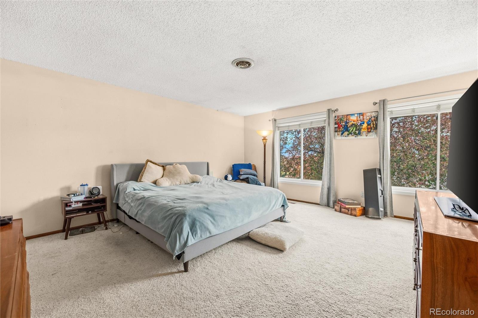 MLS Image #8 for 3435  cortina drive,colorado springs, Colorado