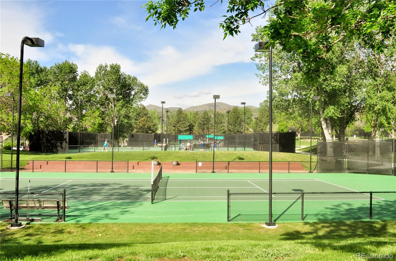 MLS Image #46 for 73  buckthorn drive,littleton, Colorado