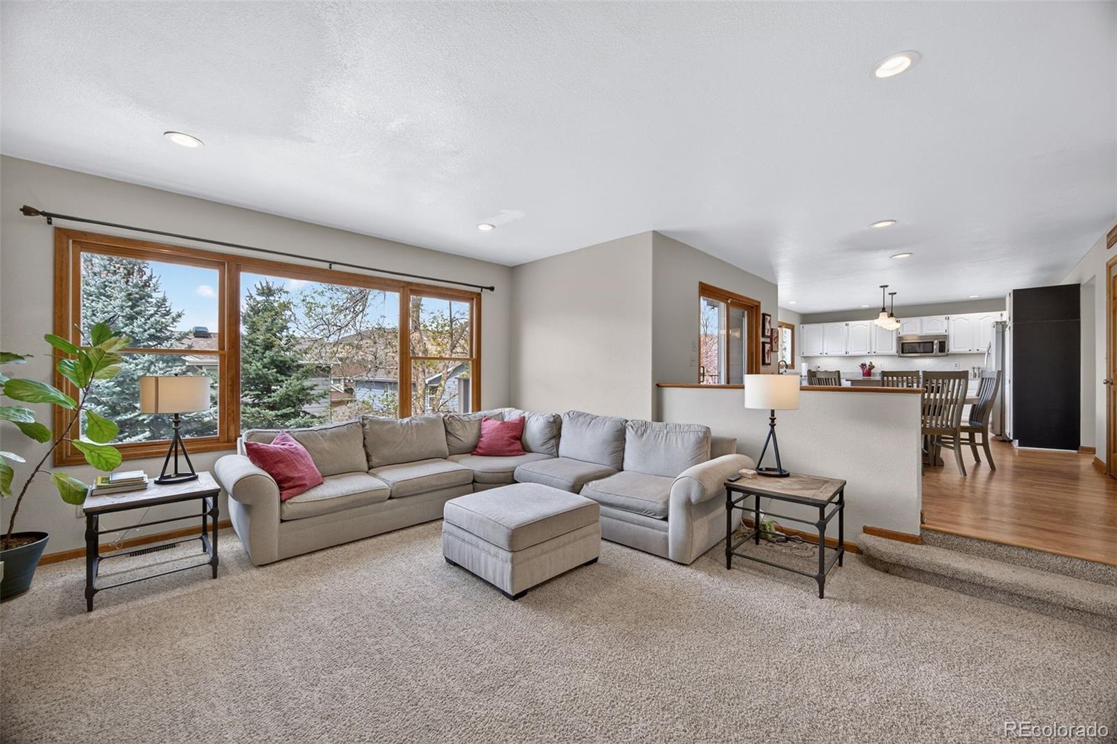 MLS Image #7 for 73  buckthorn drive,littleton, Colorado