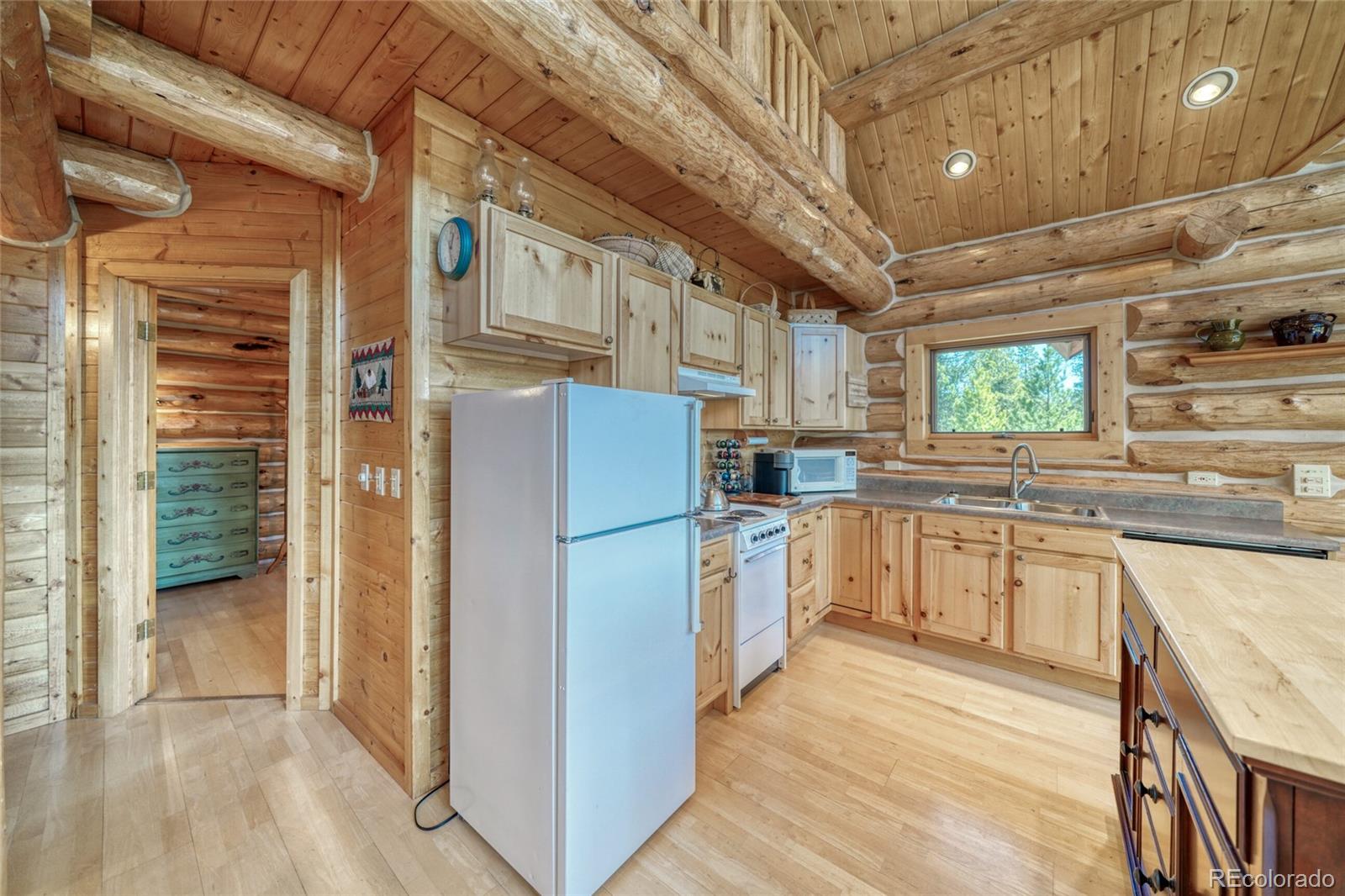 MLS Image #14 for 649  county road 21 ,leadville, Colorado