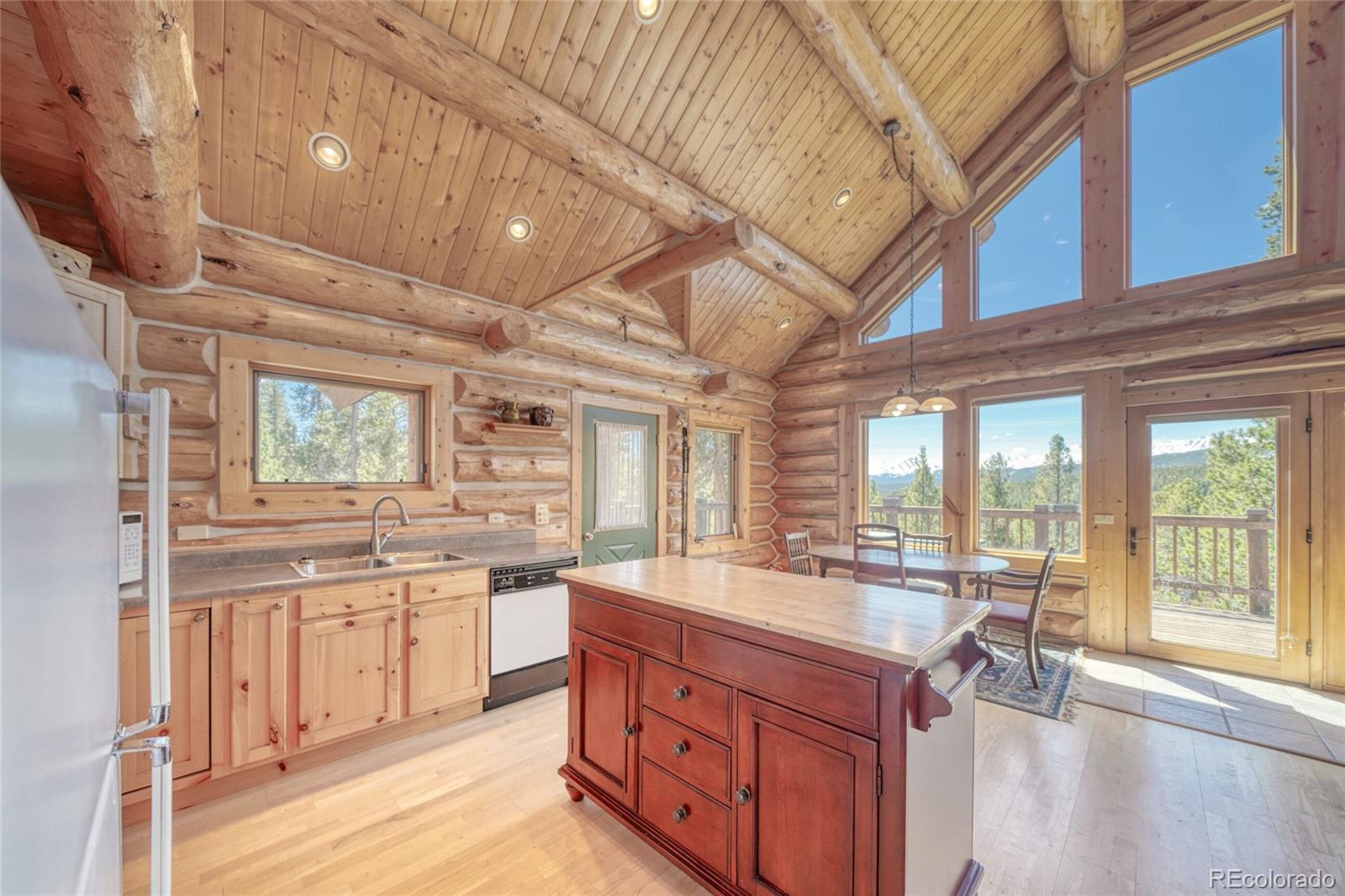MLS Image #15 for 649  county road 21 ,leadville, Colorado