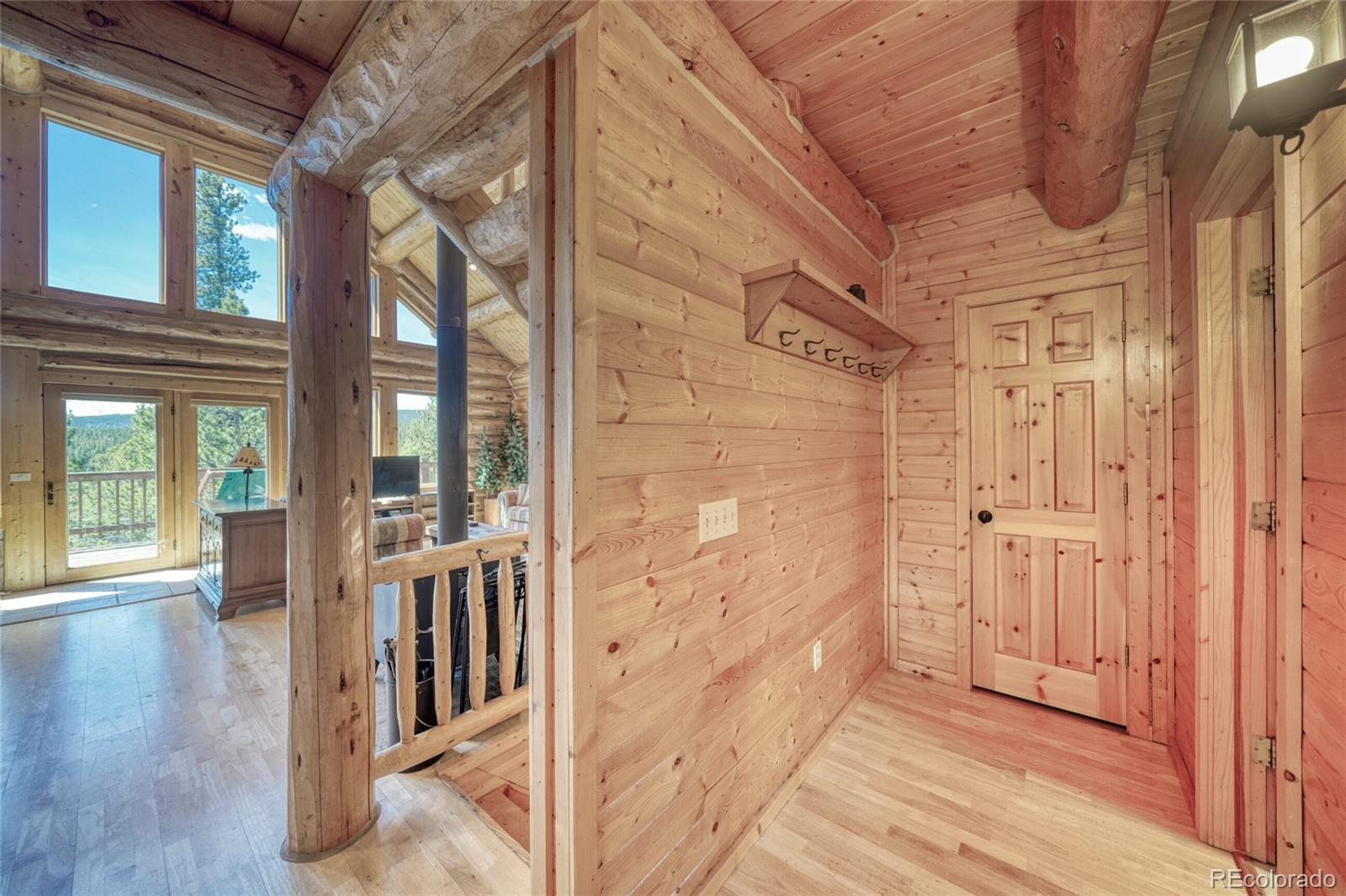 MLS Image #21 for 649  county road 21 ,leadville, Colorado