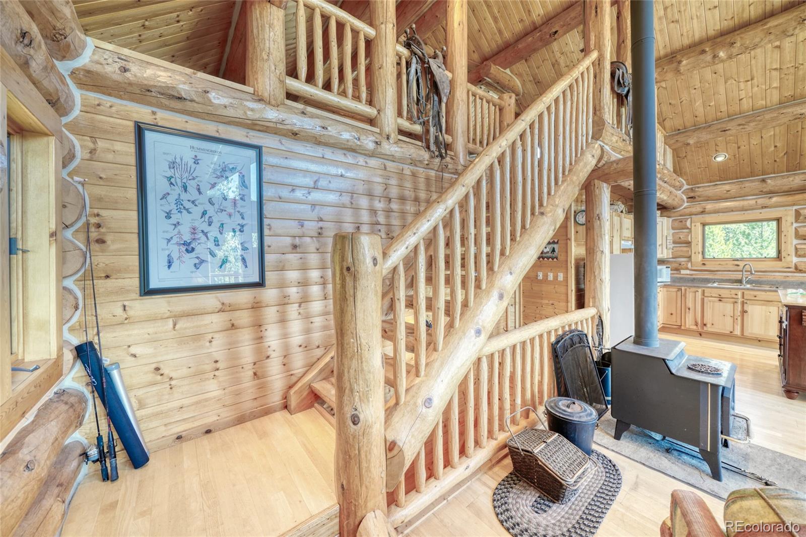 MLS Image #22 for 649  county road 21 ,leadville, Colorado
