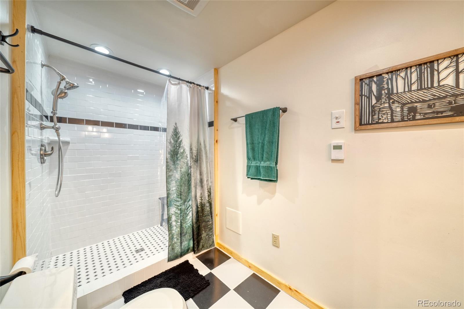 MLS Image #27 for 649  county road 21 ,leadville, Colorado