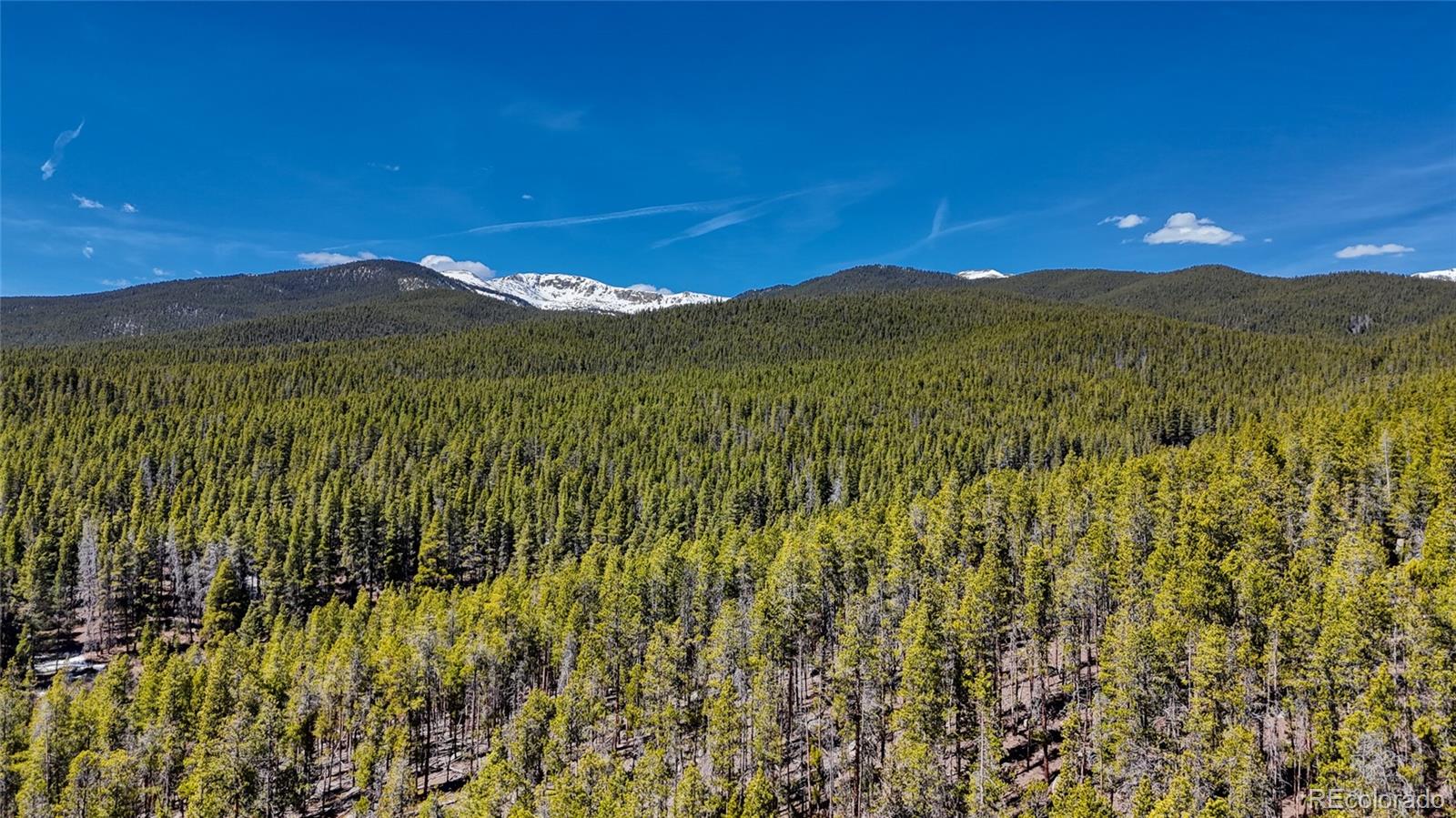 MLS Image #34 for 649  county road 21 ,leadville, Colorado
