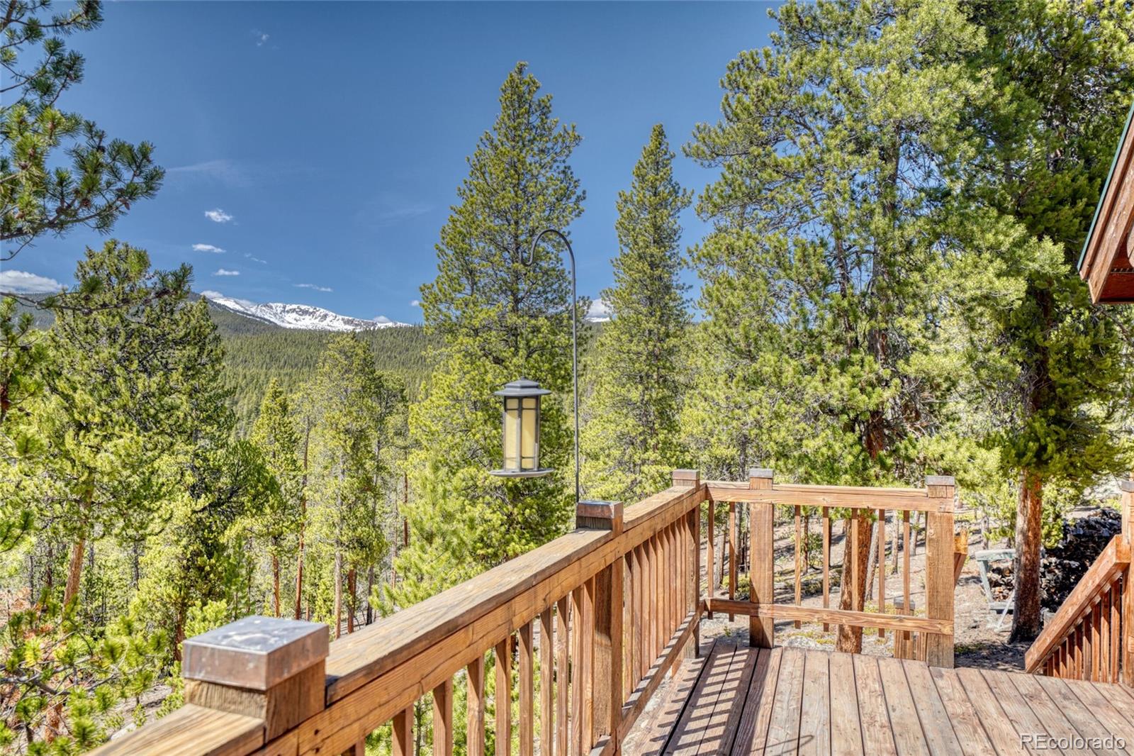 MLS Image #5 for 649  county road 21 ,leadville, Colorado