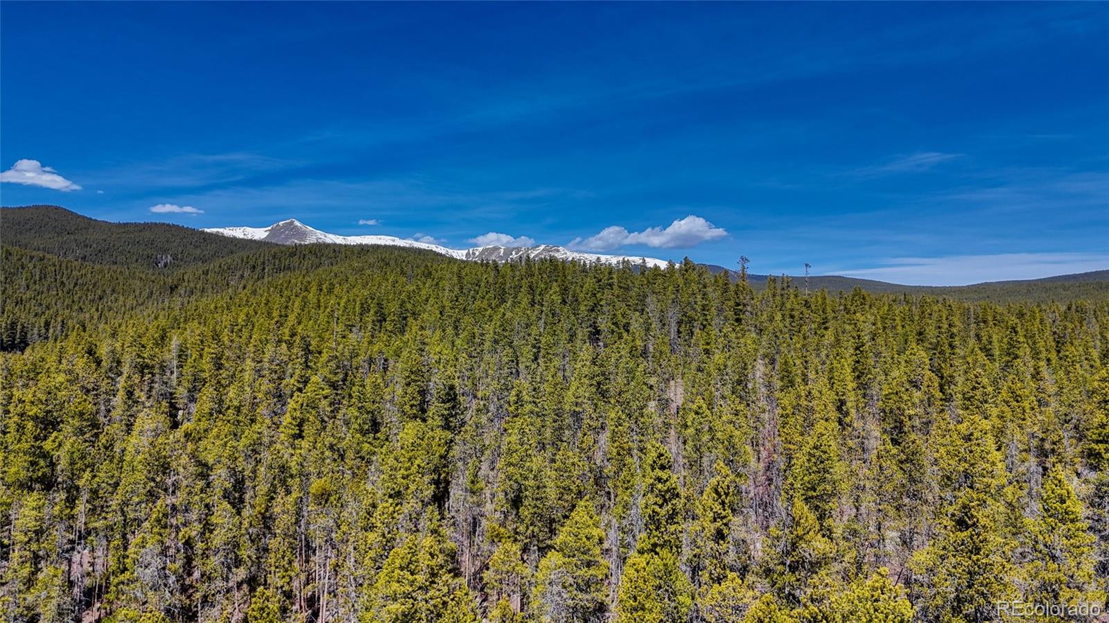 MLS Image #6 for 649  county road 21 ,leadville, Colorado