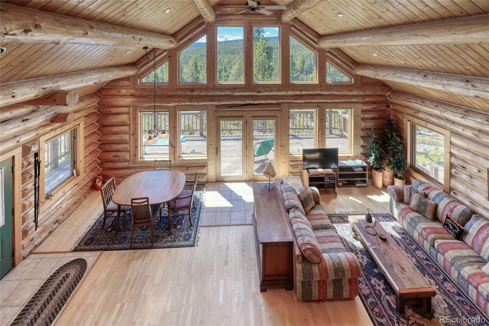 MLS Image #7 for 649  county road 21 ,leadville, Colorado