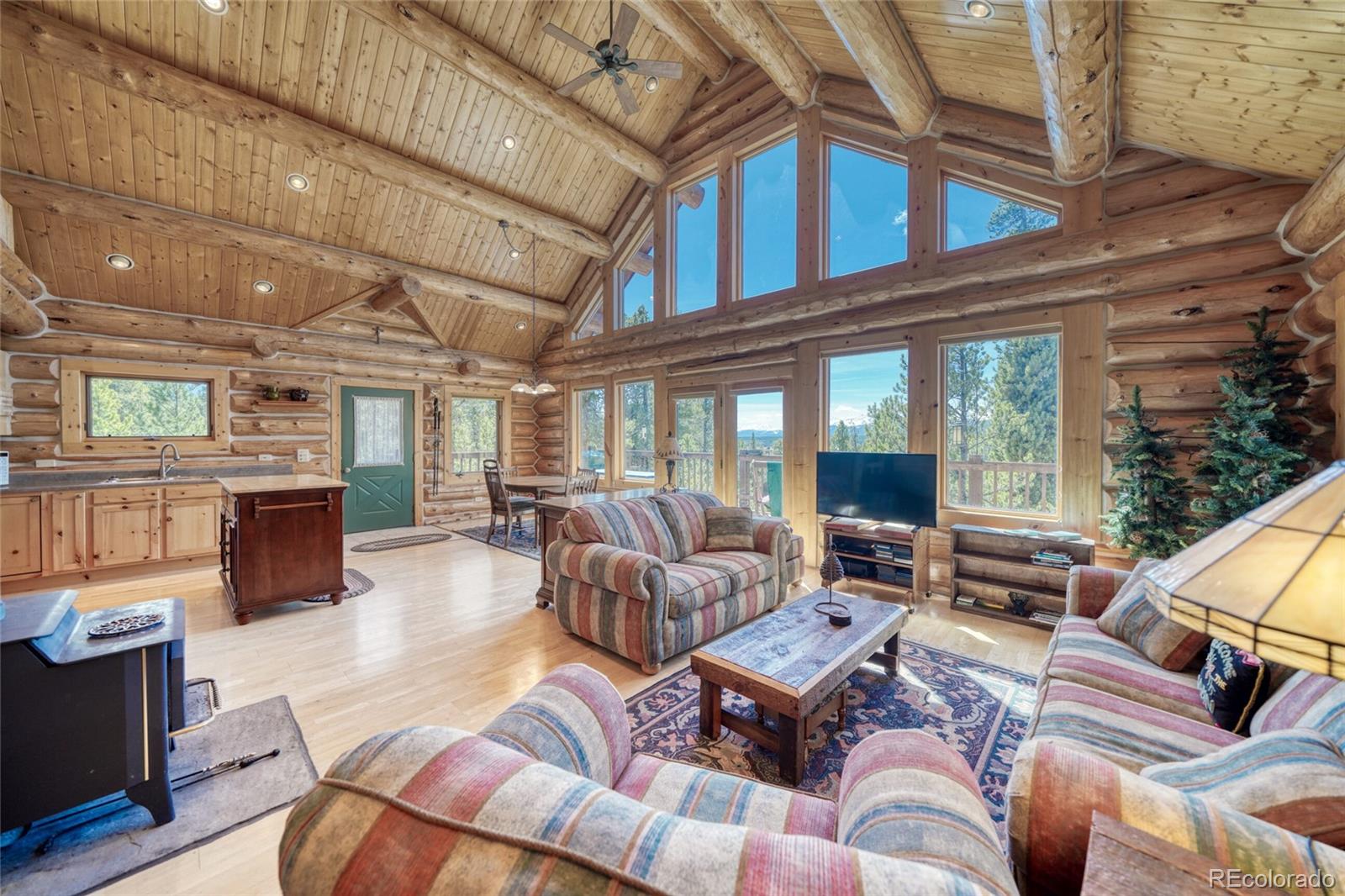 MLS Image #8 for 649  county road 21 ,leadville, Colorado