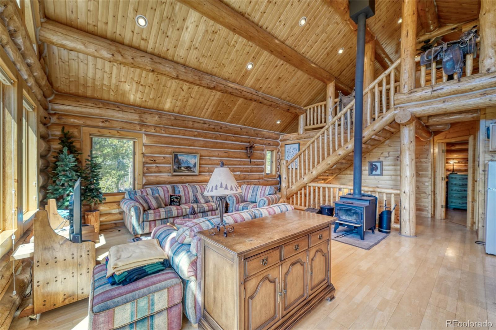 MLS Image #9 for 649  county road 21 ,leadville, Colorado