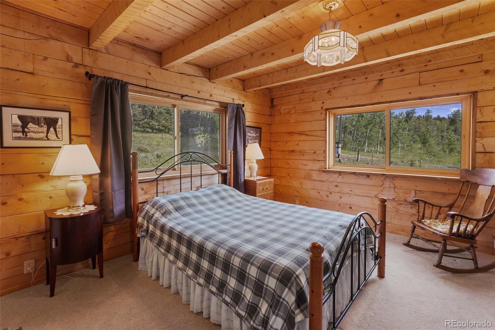 MLS Image #15 for 133  vail drive,florissant, Colorado
