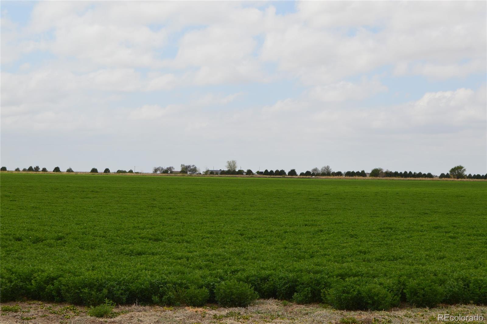 MLS Image #32 for 000  county road 24 ,la junta, Colorado