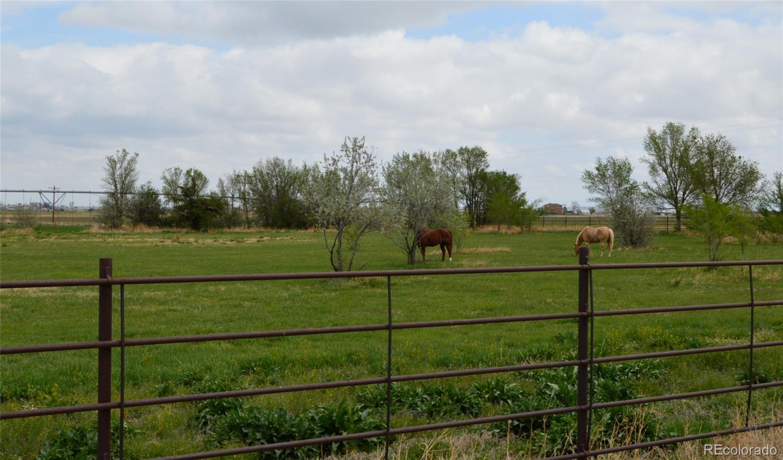 MLS Image #34 for 000  county road 24 ,la junta, Colorado