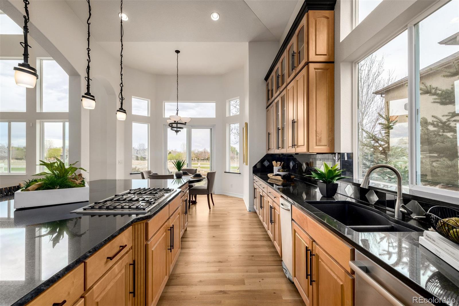 MLS Image #13 for 14032  kahler place,broomfield, Colorado
