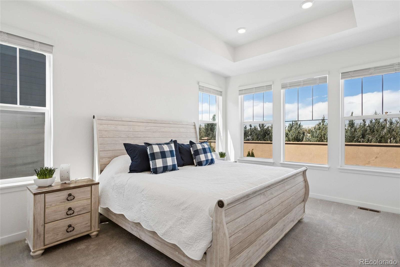 MLS Image #13 for 15979  xanthia way,thornton, Colorado