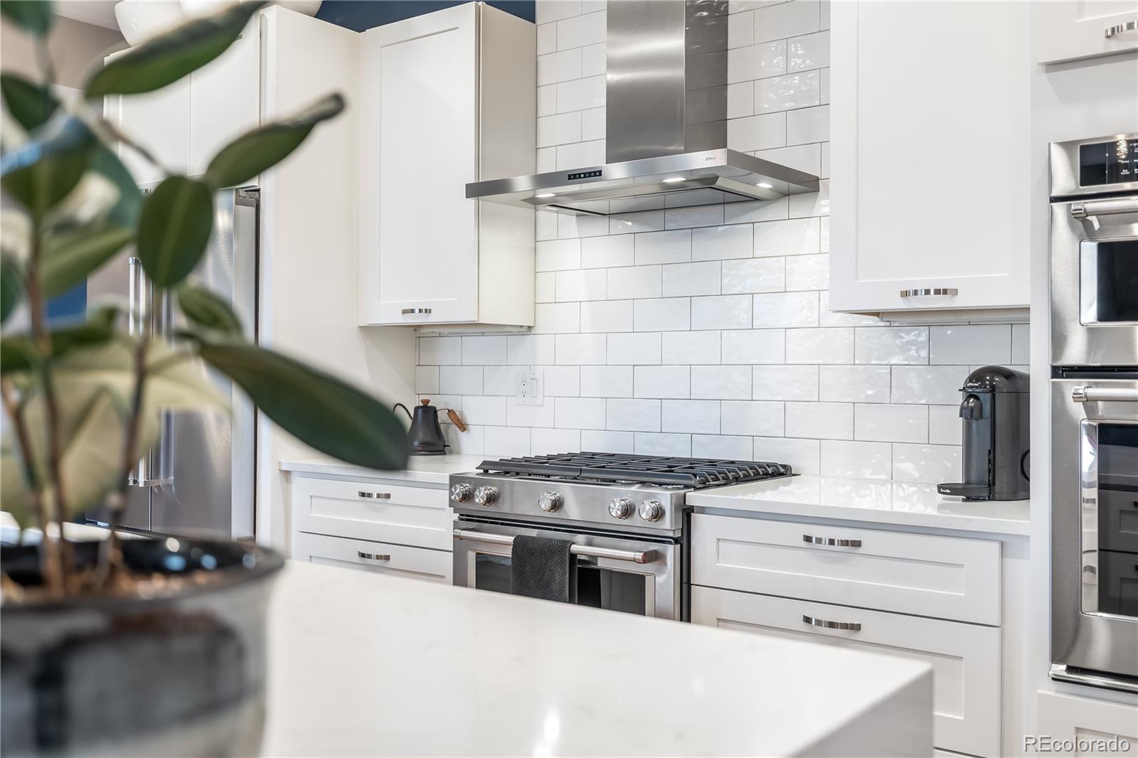 MLS Image #9 for 1728  hooker street,denver, Colorado
