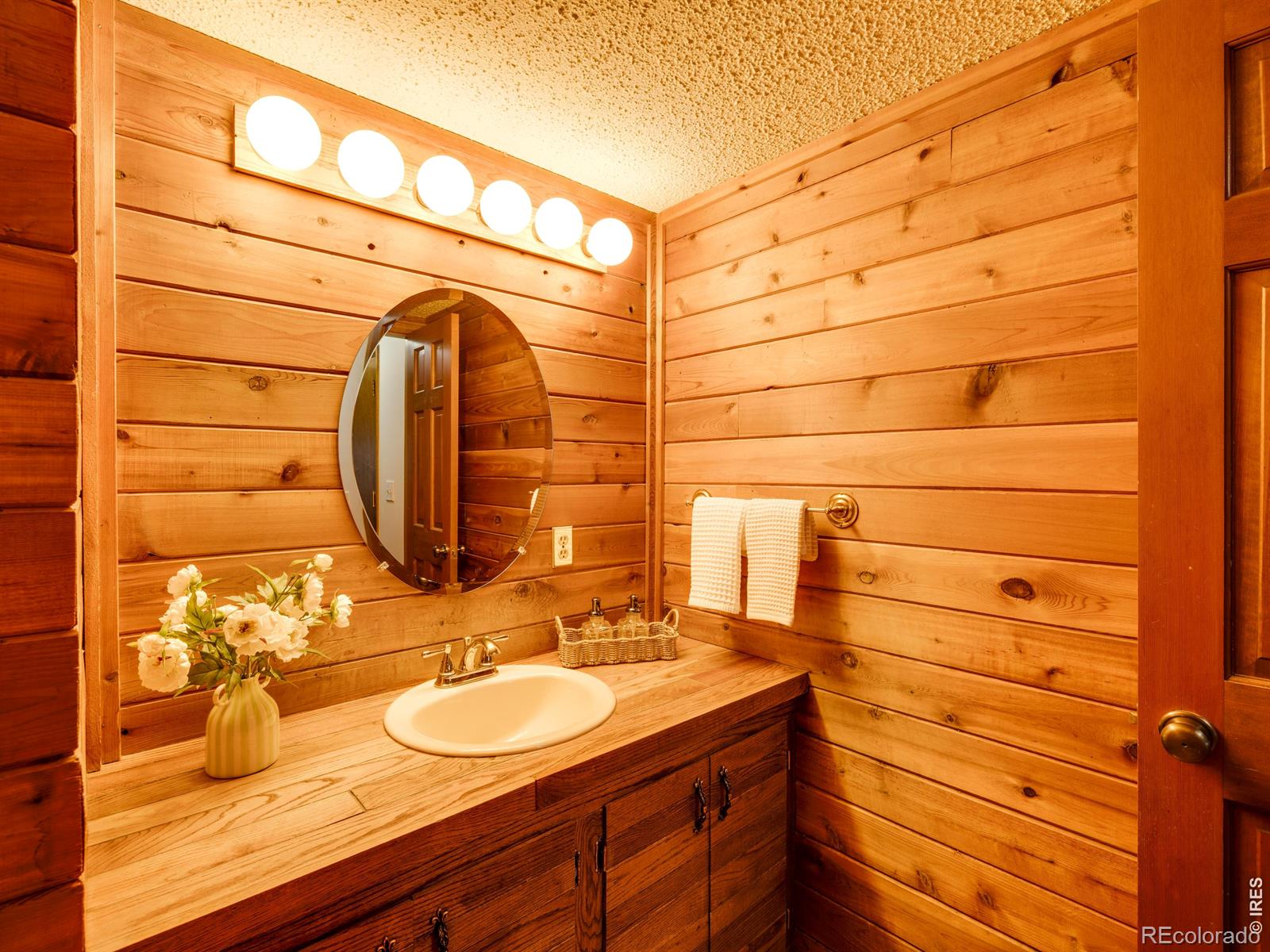 MLS Image #22 for 544  leader circle,louisville, Colorado