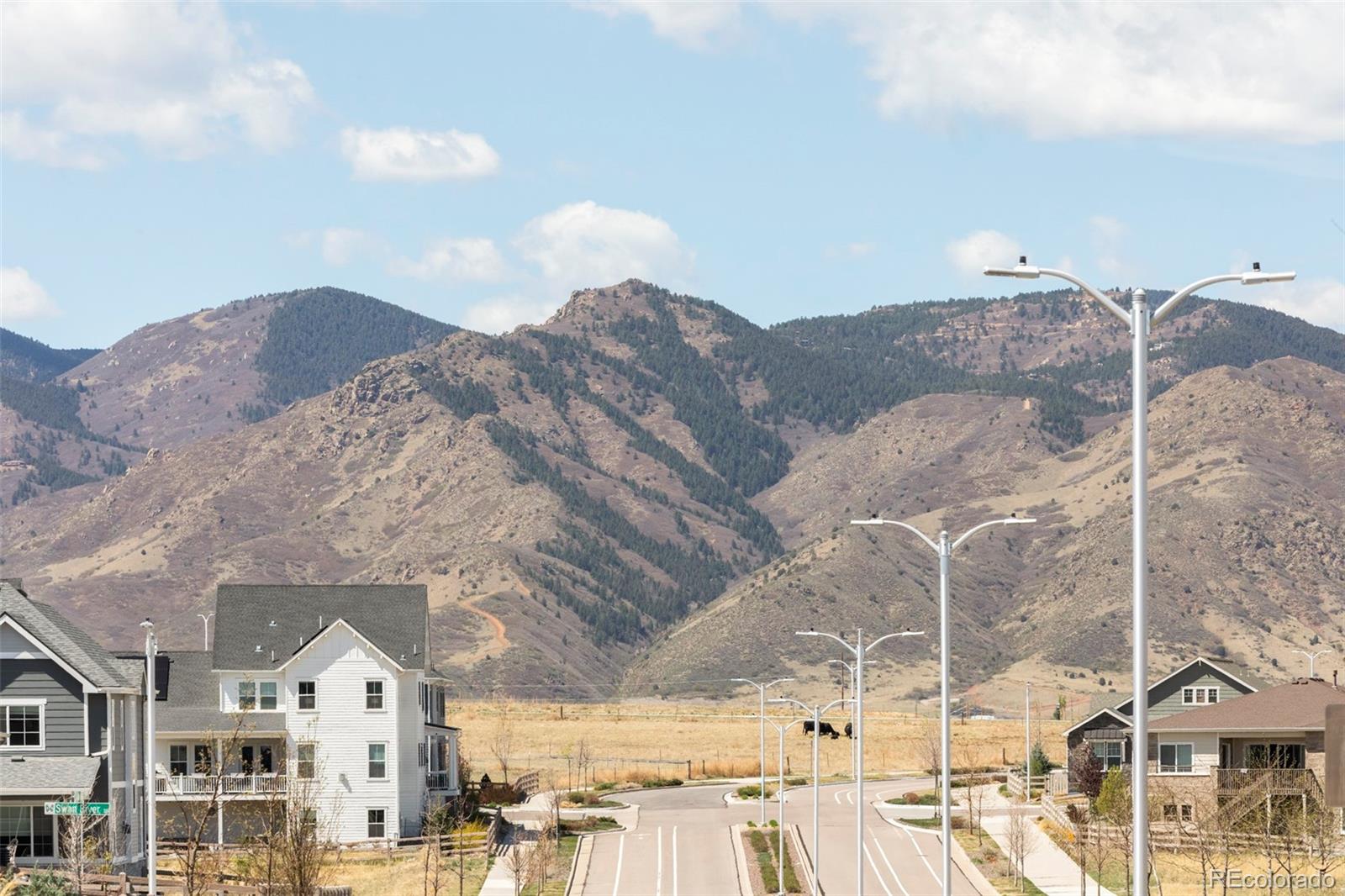 MLS Image #31 for 8110  sterling ranch avenue,littleton, Colorado