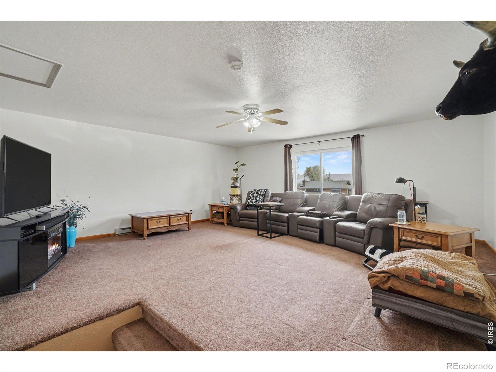 MLS Image #12 for 205  6th street,mead, Colorado