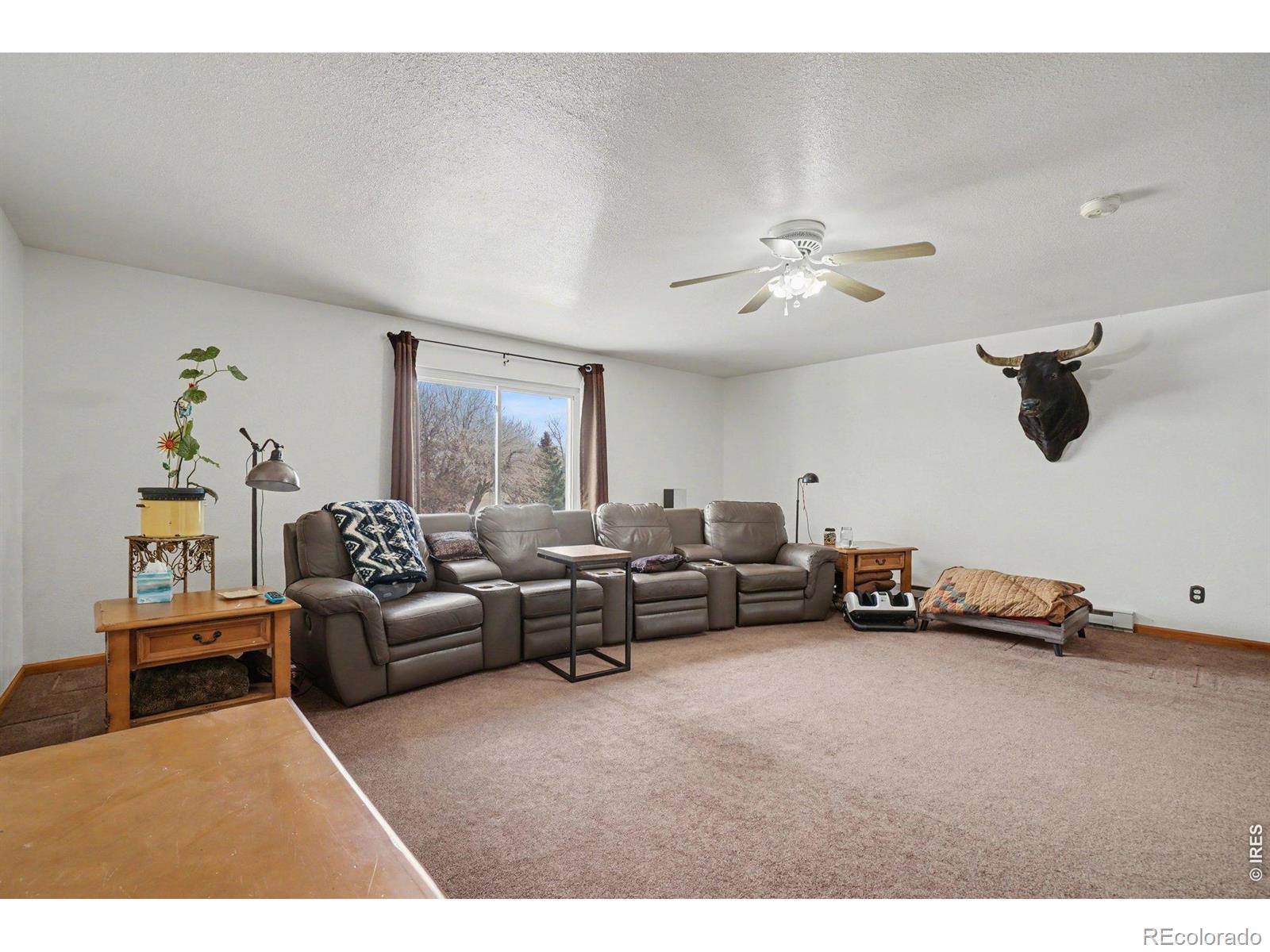 MLS Image #14 for 205  6th street,mead, Colorado
