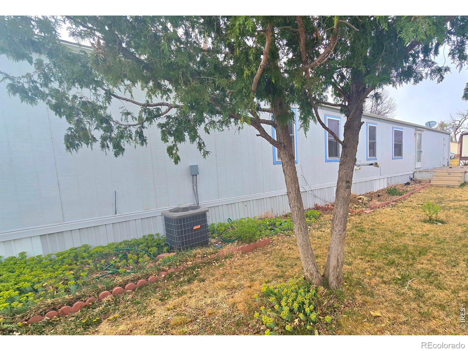 MLS Image #21 for 325 e 1st street,ault, Colorado