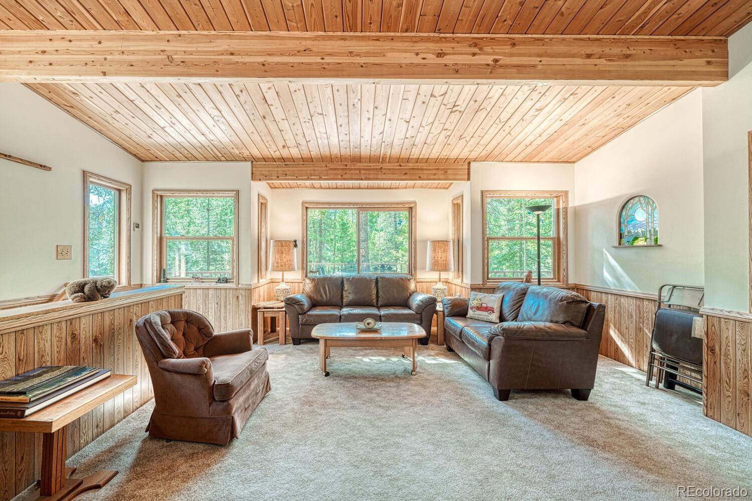 MLS Image #15 for 22297  county road 292d ,nathrop, Colorado