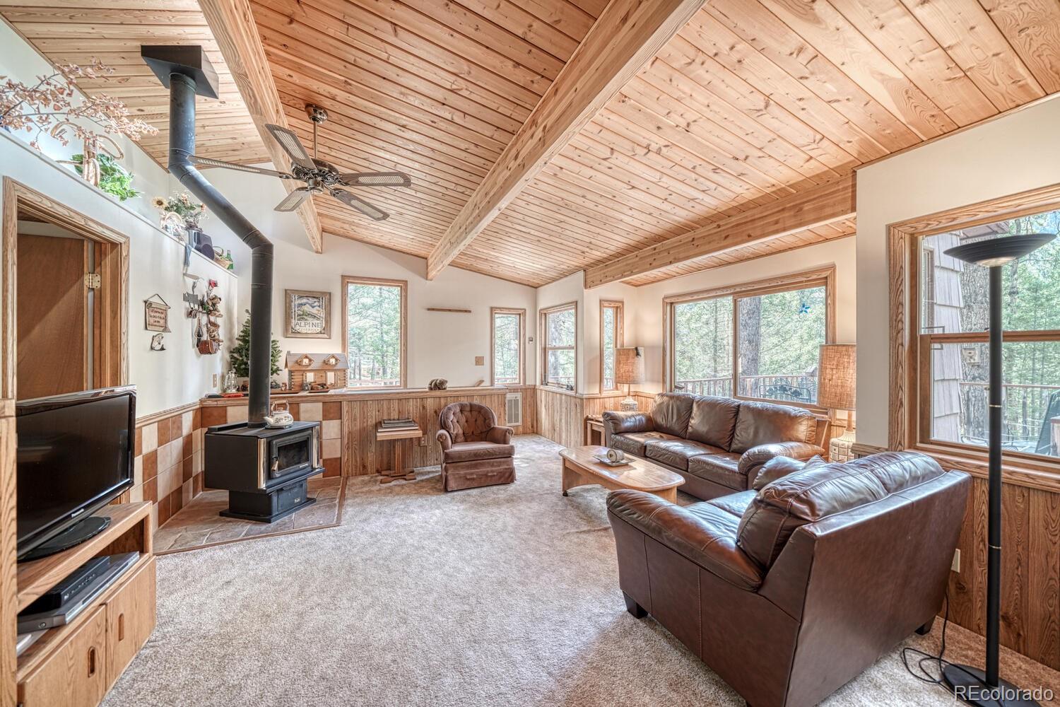 MLS Image #16 for 22297  county road 292d ,nathrop, Colorado