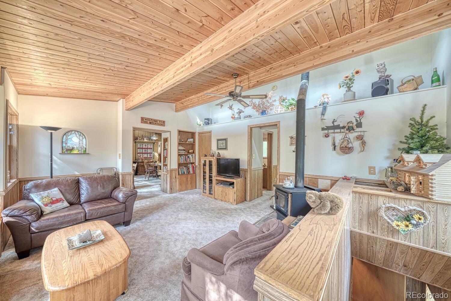 MLS Image #17 for 22297  county road 292d ,nathrop, Colorado