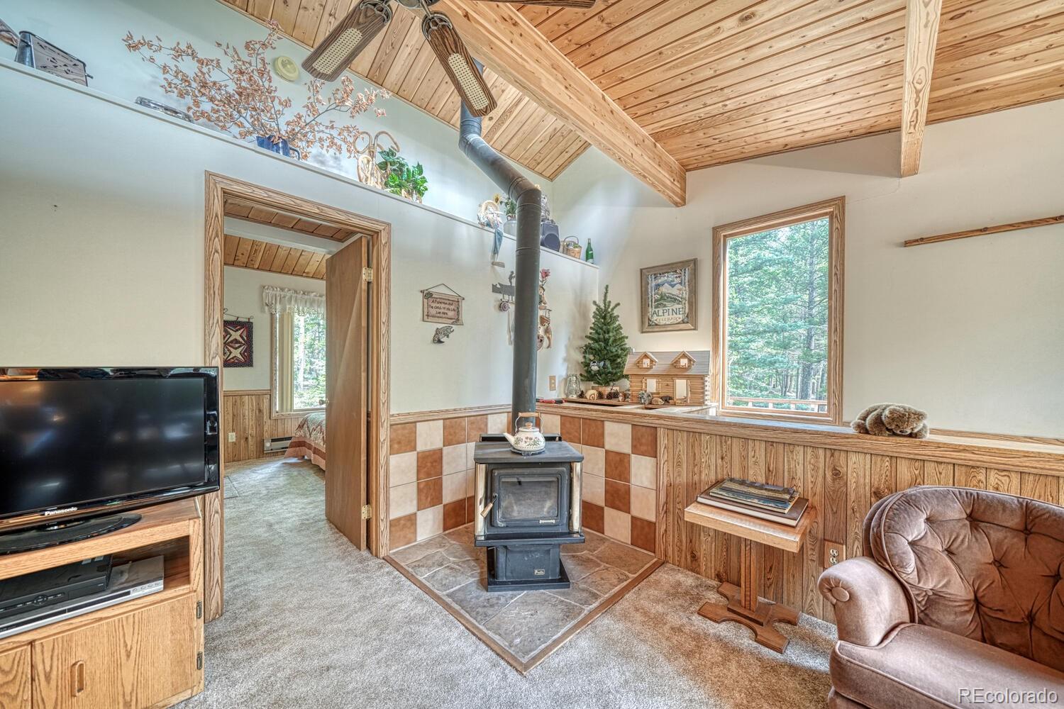MLS Image #19 for 22297  county road 292d ,nathrop, Colorado
