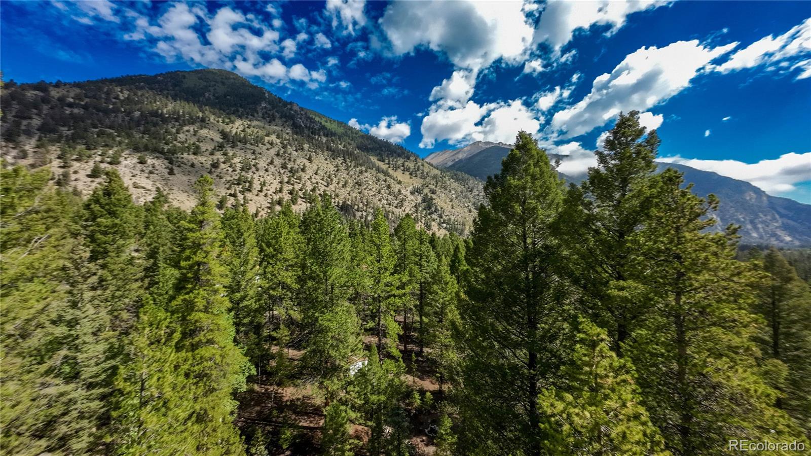 MLS Image #2 for 22297  county road 292d ,nathrop, Colorado