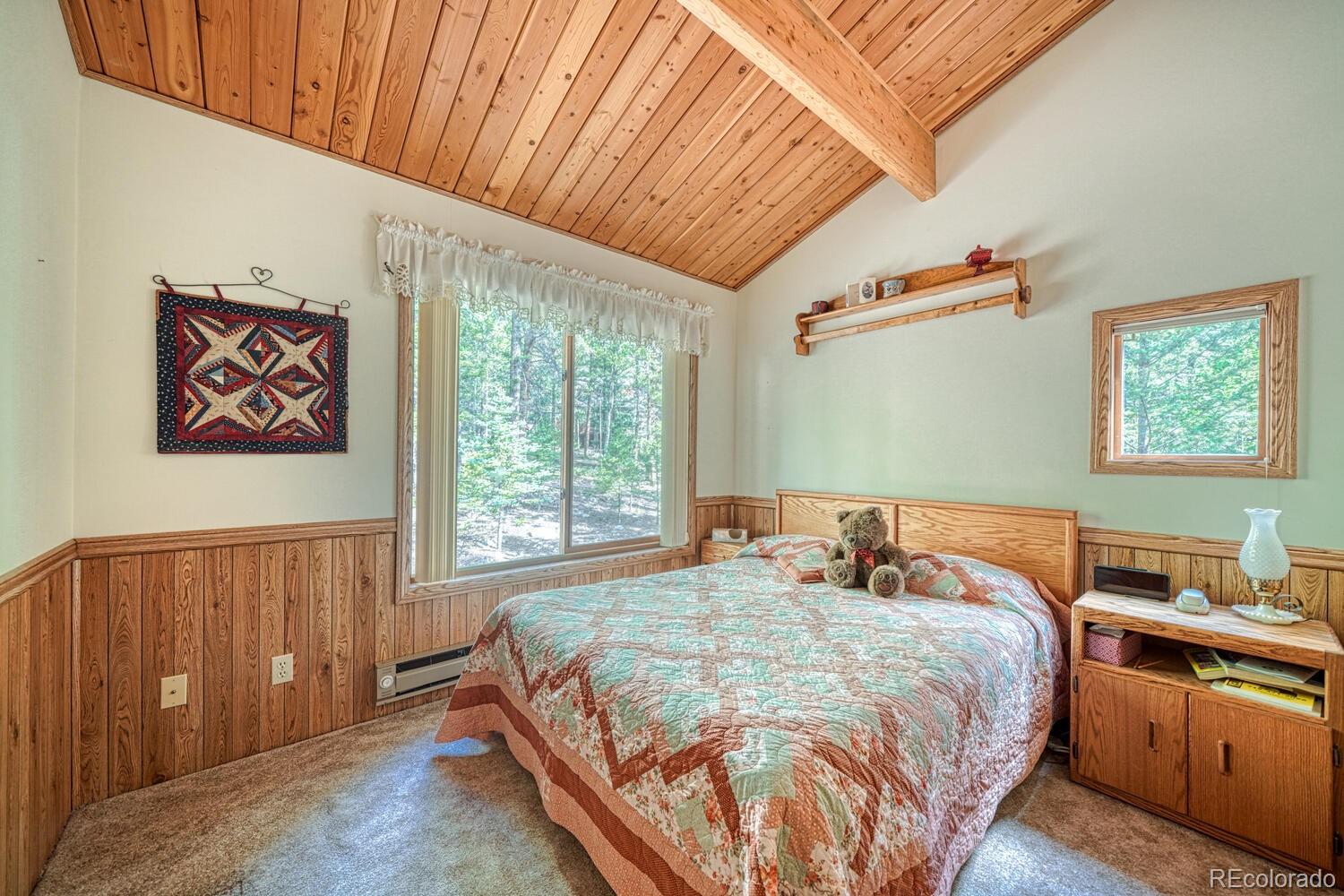 MLS Image #21 for 22297  county road 292d ,nathrop, Colorado