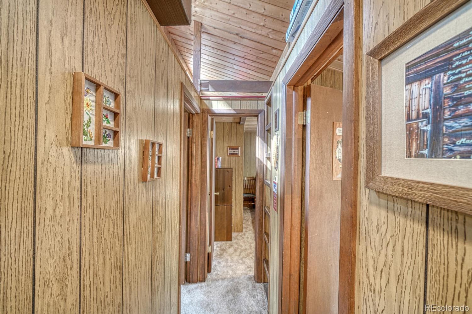 MLS Image #23 for 22297  county road 292d ,nathrop, Colorado
