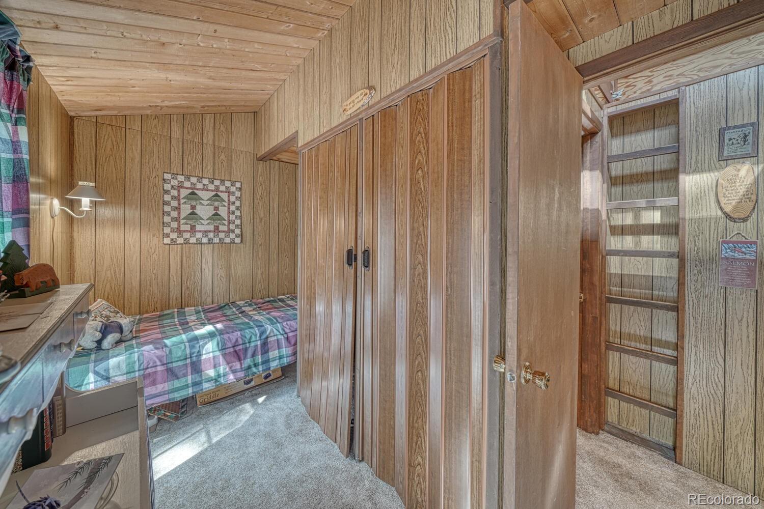 MLS Image #28 for 22297  county road 292d ,nathrop, Colorado