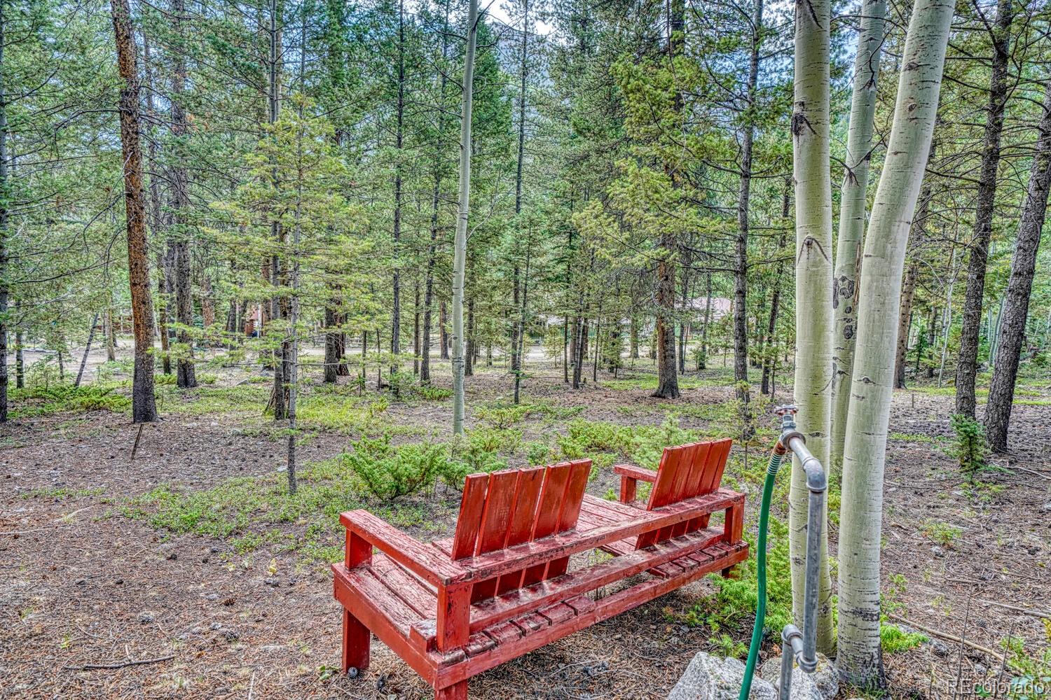 MLS Image #5 for 22297  county road 292d ,nathrop, Colorado