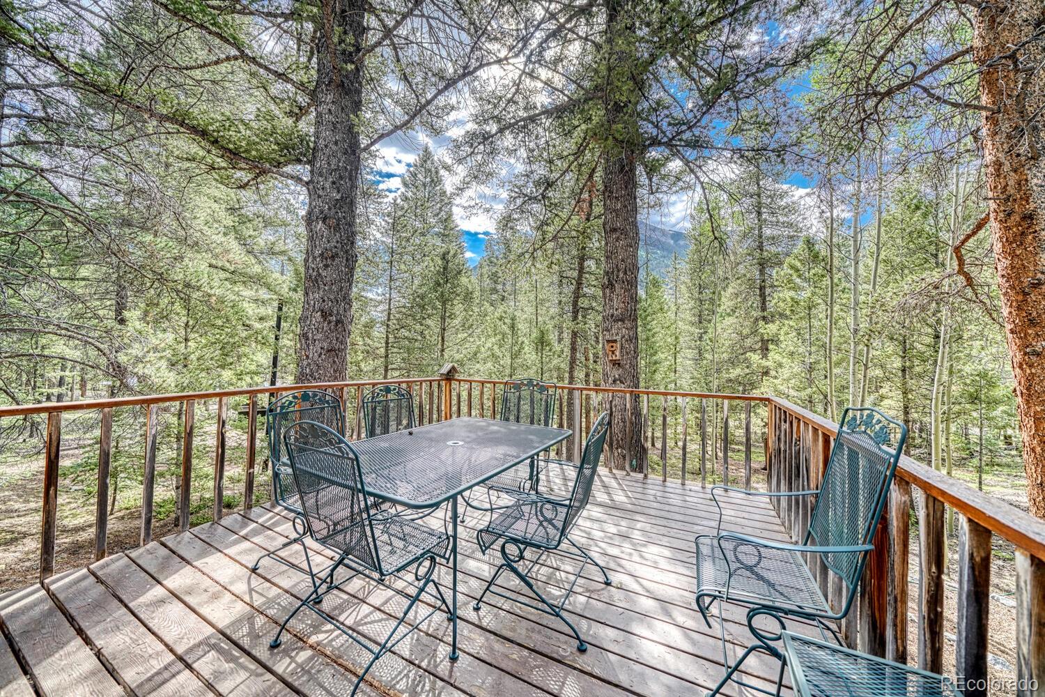 MLS Image #9 for 22297  county road 292d ,nathrop, Colorado