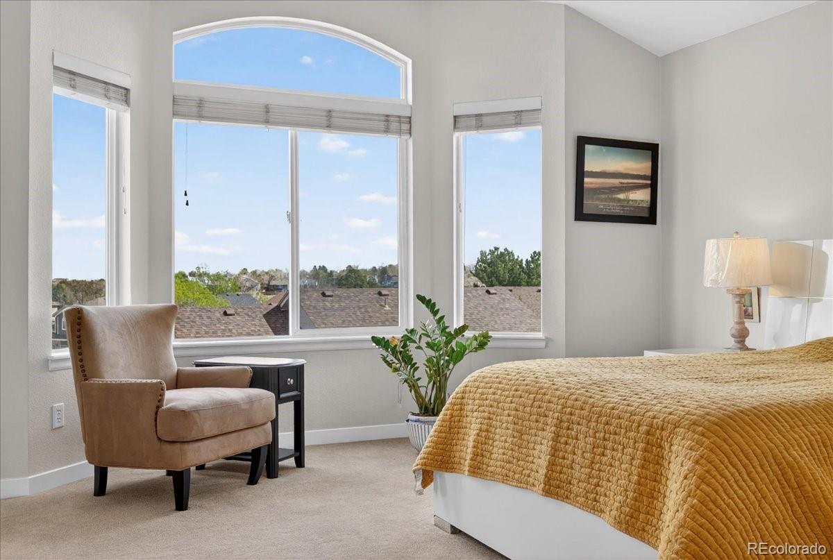 MLS Image #25 for 9477  burgundy circle,highlands ranch, Colorado