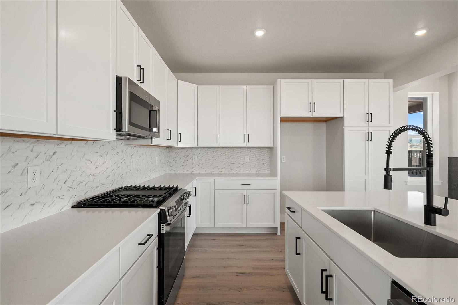 MLS Image #13 for 8669  leaf sedge lane,littleton, Colorado
