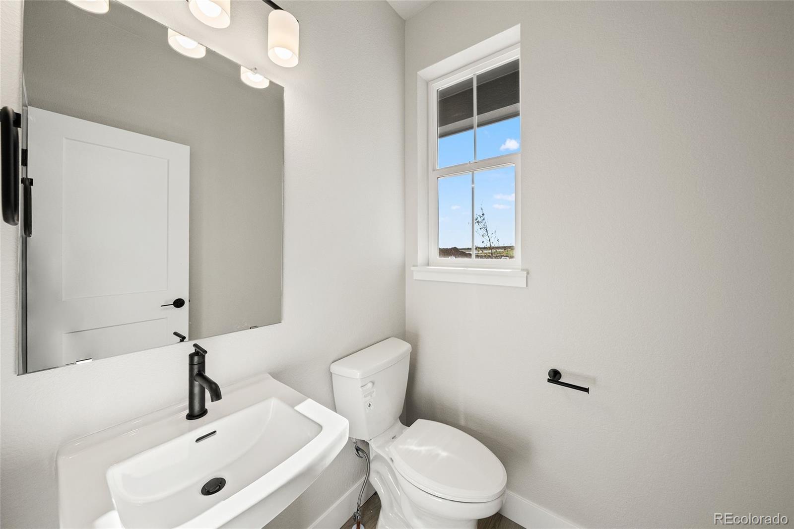 MLS Image #18 for 8669  leaf sedge lane,littleton, Colorado
